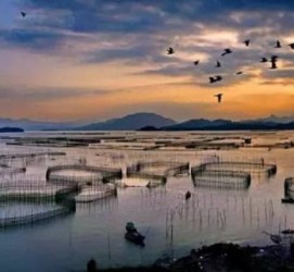 岑溪伴游中国网景点丰富(旅游网介绍)