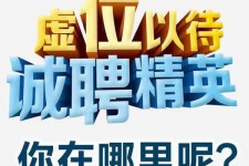岑溪青海伴游雇用(青海湖旅游公司雇用)