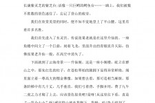 岑溪旅游感想(张家界旅游感想)