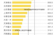 岑溪关于伴游小丽中国足球的信息