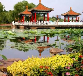 岑溪长春旅游攻略(长春旅游攻略必去景点地图)
