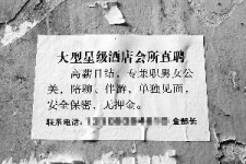 岑溪珠海伴游雇用网(珠海游览社雇用信息)