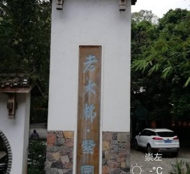 岑溪关于伴游中国伴游你们伴得是什么游的信息
