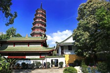 岑溪广州自由行(广州 自由行)