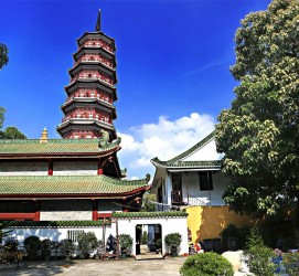 岑溪广州自由行(广州 自由行)