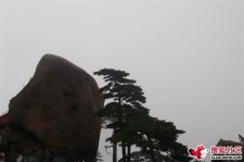 岑溪上海伴游私家陪游雇用女模(上海伴游私家陪游雇用女模特)