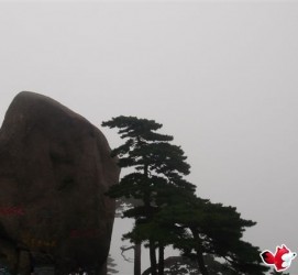 岑溪上海伴游私家陪游雇用女模(上海伴游私家陪游雇用女模特)
