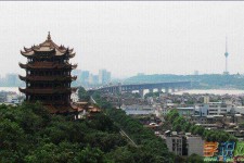岑溪武汉游玩攻略(武汉游玩攻略ppt)