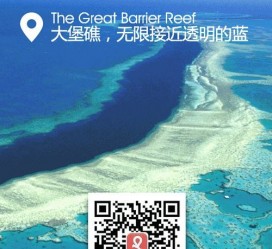 岑溪中国250家旅行社结伴游新西兰(新西兰当地旅行社)