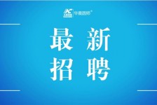 岑溪镇江伴游雇用驾驶员(镇江驾驶员雇用苍生网)