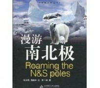 岑溪游记攻略(ps西游记攻略)