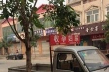 岑溪上海伴游 用伴游造句大全(5