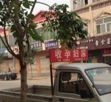岑溪上海伴游 用伴游造句大全(5