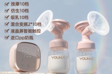 岑溪奶模(奶模型)