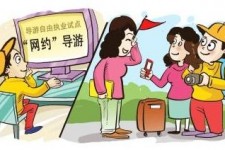 岑溪伴游是什么
