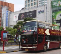 岑溪上海私人伴游 上海过年怎么玩？这些“微游”线路了解下→