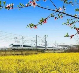 岑溪高铁游(高铁游戏下载手机版)