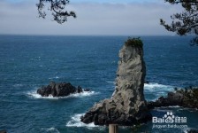 岑溪旅游全攻略(上海旅游全攻略)