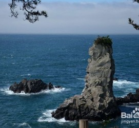 岑溪旅游全攻略(上海旅游全攻略)