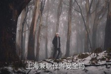 岑溪上海私人伴游 上海伴游，上海兼职伴游安全吗