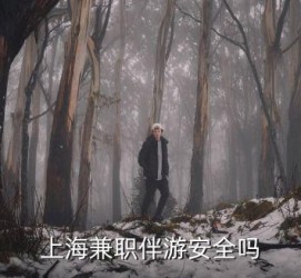 岑溪上海私人伴游 上海伴游，上海兼职伴游安全吗