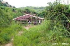 岑溪北海伴游兼职雇用信息(北海伴游兼职雇用信息大全)