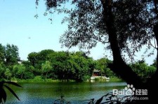 岑溪西湖旅游攻略(上海到杭州西湖旅游攻略)