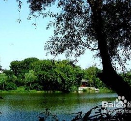 岑溪西湖旅游攻略(上海到杭州西湖旅游攻略)