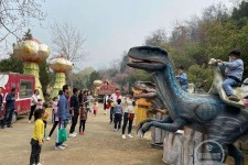 岑溪中国伴游带你打卡网红南山竹海(南山竹海网上预约)