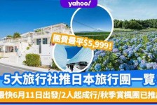 岑溪旅游价格(旅游价格机制)