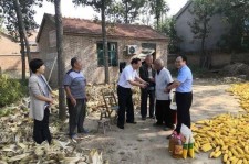 岑溪关于宋叔带老伴游中国的信息
