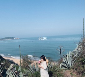 岑溪厦门周边游(厦门及周边旅游攻略)