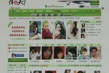 岑溪home伴游中国(zarahome乳胶枕)