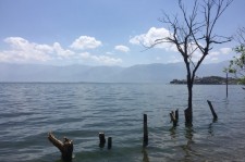 岑溪洱海旅游攻略(洱海旅游攻略自由行)