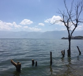 岑溪洱海旅游攻略(洱海旅游攻略自由行)