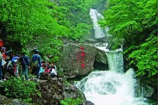 岑溪安吉旅游攻略(湖州安吉旅游攻略)