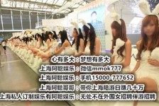 岑溪雇用旅游男伴游(北京商务酒店雇用伴游)