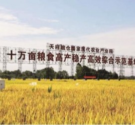 岑溪关于成都商务伴游外围雇用的信息