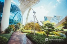 岑溪杭州外围伴游雇用(杭州外围雇用经纪人)