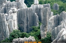 岑溪贵阳市游览社英语伴游雇用(贵阳市前十名游览社是哪几家)