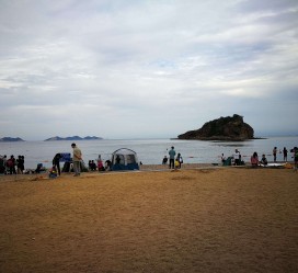 岑溪五日游(五日游戏)