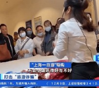 岑溪上海私人伴游 看·法｜100元游上海？！“旅社”涉嫌诈骗被一窝端