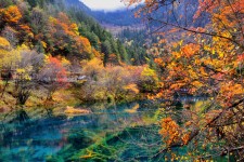 岑溪四川旅游攻略(四川旅游攻略十五日游)