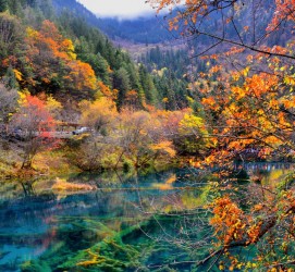 岑溪四川旅游攻略(四川旅游攻略十五日游)