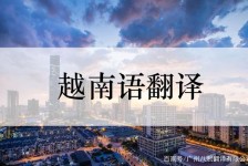 岑溪越南翻译兼职伴游(在越南怎样找私人翻译)
