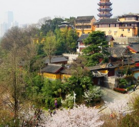 岑溪南京周边游(南京周边游景点大全 自驾车旅游)