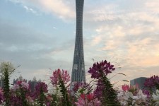 岑溪广州旅游攻略(杭州到广州旅游攻略)