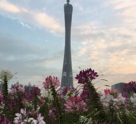 岑溪广州旅游攻略(杭州到广州旅游攻略)