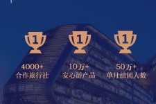 岑溪上海私人伴游 ​ “小而美”的新时代：2020年国内新跟团消费报告