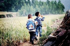 岑溪河南一家四口结伴游中国2个月(河南适合一家四口旅游的地方)
